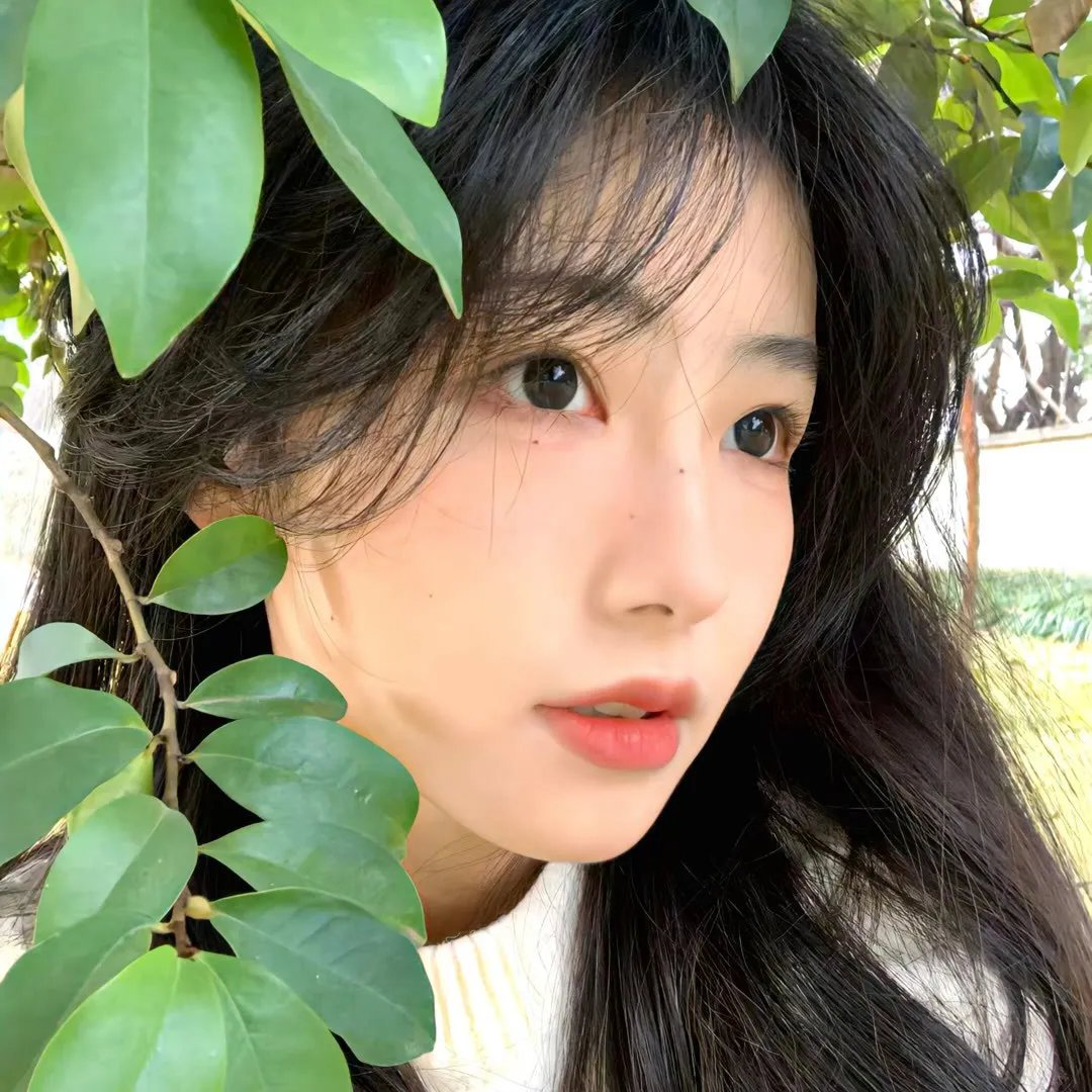 秦时明月