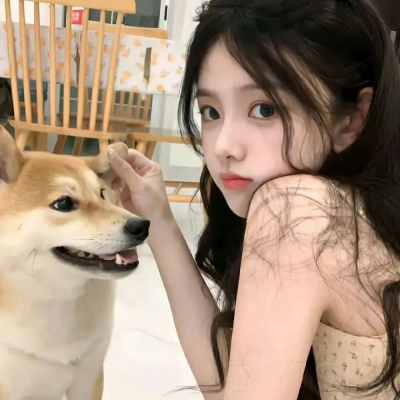 我们的美好时代第二季